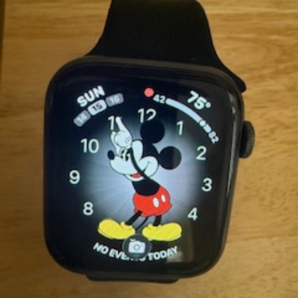 Apple Watch Series 6 44m